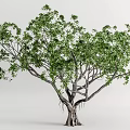 Modern tree landscape tree towering tree 3d model