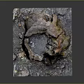 Wooden Stone Tree Stump Sculpture With Natural Texture And Square Base