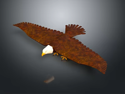 Eagle with White Head Brown Feathers Spreading Wings on Dark Background with Reflection 3d model