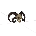 Detailed Animal Skull With Large Curved Black Horns On Gray Background