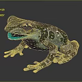 Frog Poison Frog Game Frog Reptile Cold Blooded Animal Reptile 3d model