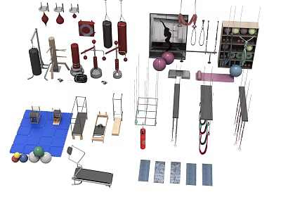 Diverse Sports Equipment Collection Including Gym Rings Dumbbells Yoga Balls And Training Mats 3d model