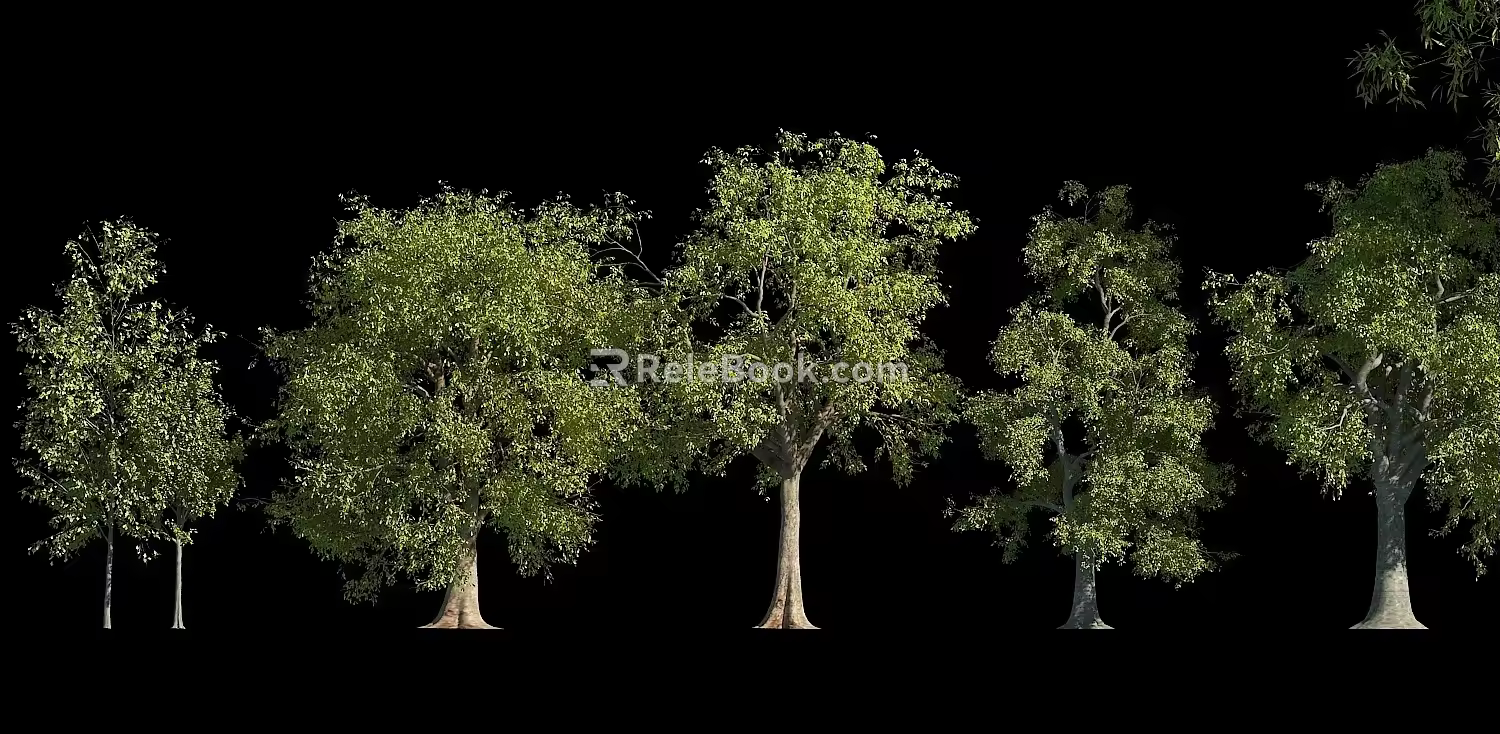 Tree Landscape Trees Tall Trees Tall Trees Landscape Plants Plant Trees Combination Flower Trees 3d model