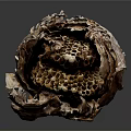 Natural Honeycomb Structure With Broken Outer Shell And Hexagonal Cells On Dark Surface
