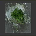 Green Leafy Plant Growing On Tree Root Shaped House With Water Droplets Around Base