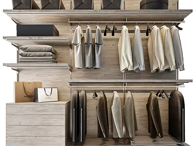 Modern Wooden Wardrobe Interior Design With Hanging Folded Clothes Shelves Drawers And Bags 3d model
