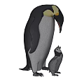 Adult Emperor Penguin Standing With Baby Penguin Chick on White Background