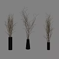 Three Black Vases With Small Twigs And Decorative Plants