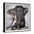 Modern Animal Painting Simple Brown Children's Room Animal Elephant Decorative Painting 3d model