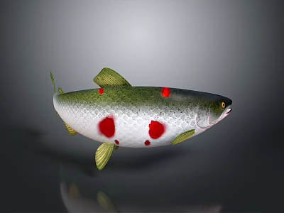 Decorative Fish Ornament With Silver White Body Red Spots And Green Fins 3d model
