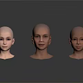 Multiple Realistic Bald Human Head Models With Detailed Facial Features