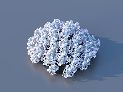 Intricate Floral Sculpture Composed of Small White Flowers in Circular Form on Blue Background 3d model