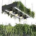 Modern Chandelier Design With Black Frame Glass Shades And Hanging Greenery Plants