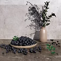 Fresh Blueberries in Bowl with Scattered Berries and Green Foliage in Vase on Gray Surface