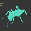 grasshopper insect cartoon locust animation locust anime locust anime game character 3d model