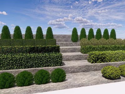 Neatly Trimmed Shrubs in Landscaped Garden with Stone Steps and Blue Sky 3d model