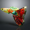 Colorful Guppy Fish With Vibrant Red Green Yellow Fins And Beautiful Patterned Tail