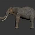Gray Elephant With Curled Trunk White Tusks Red Eyes And Detailed Skin Texture