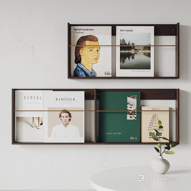 Modern Wall Mounted Bookcase Displaying Magazines Decor and Small Green Plant 3d model 