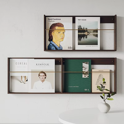 Modern Wall Mounted Bookcase Displaying Magazines Decor and Small Green Plant 3d model