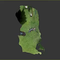 Crocodile Resting On Green Grassland Near Small Water Puddle In Natural Habitat