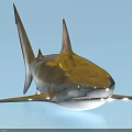Realistic 3D Shark With Shiny Silver Brown Body And Sharp Dorsal Fins