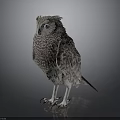 Realistic Gray Plumage Owl with Blue Eyes White Claws Standing on Dark Background