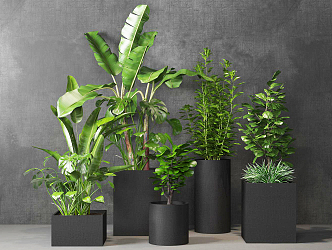 modern potted plant indoor potted plant 3d model