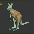Realistic Brown Kangaroo Standing With Long Tail On Dark Reflective Surface 3d model