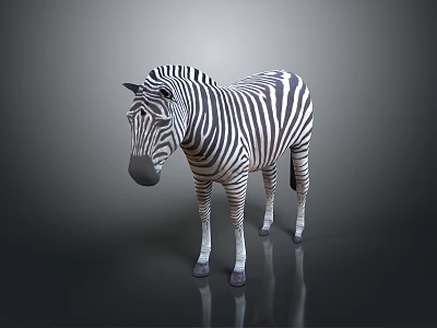 Zebra With Black And White Stripes Standing On Dark Background With Reflection 3d model