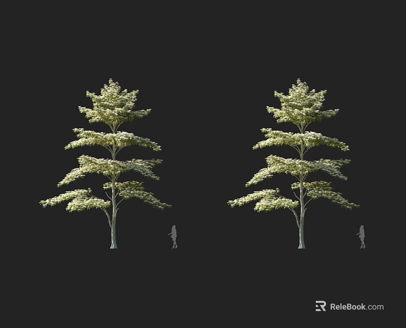 Two Mature Tree Specimens With Lush Foliage And Human Figure For Scale Reference 3d model 
