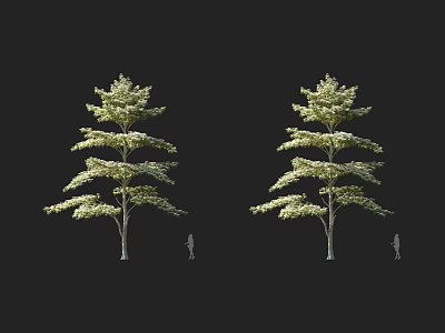 Two Mature Tree Specimens With Lush Foliage And Human Figure For Scale Reference 3d model