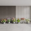 Colorful Bonsai Potted Plants With Various Flowers In Gray Pots For Indoor Decor