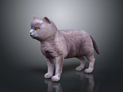 Gray Cat With Yellow Eyes Standing On Dark Background With Fluffy Fur And Reflection 3d model