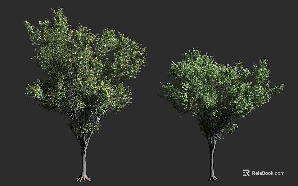 Lush Arbor Trees With Dense Green Foliage And Strong Trunks For Landscaping 3d model 