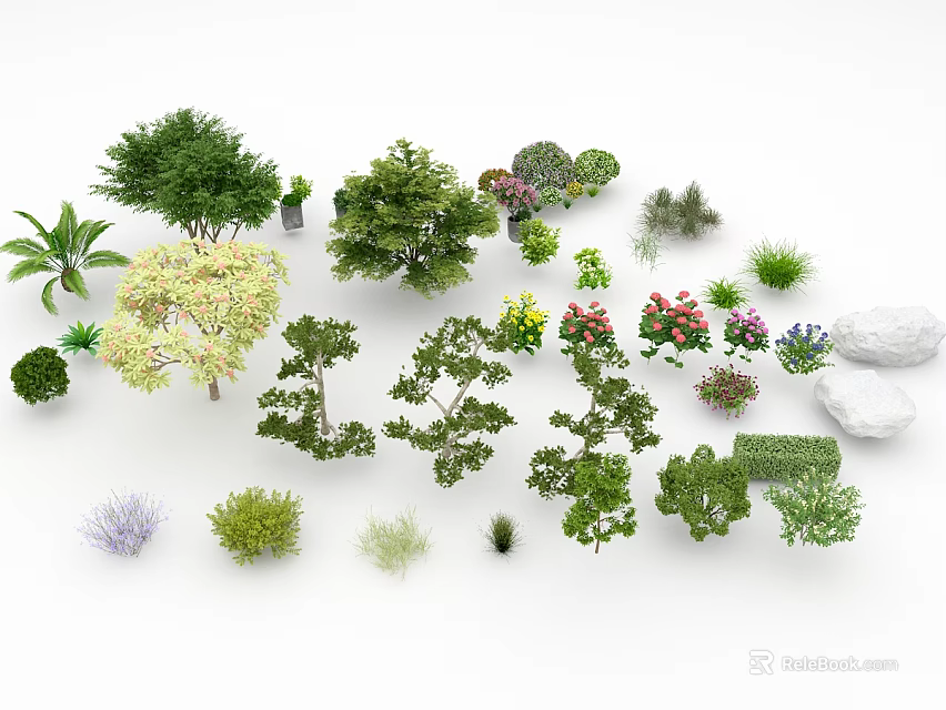 Various Shrubs Types with Diverse Shapes and Foliage for Garden Landscaping 3d model 