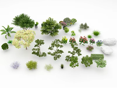 Various Shrubs Types with Diverse Shapes and Foliage for Garden Landscaping 3d model