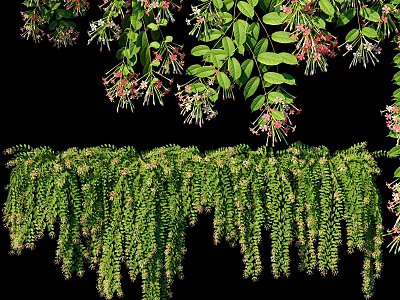 Lush Green Vines With Hanging Leaves And Pink Flowers Natural Growth 3d model