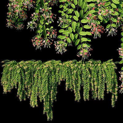 Lush Green Vines With Hanging Leaves And Pink Flowers Natural Growth 3d model