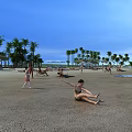 Beachfront Swing Doors Design With Palm Trees And Sandy Shore Scene