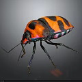 Colorful Beetle With Shiny Exoskeleton Vibrant Red Orange Black Patterns And Green Blue Legs