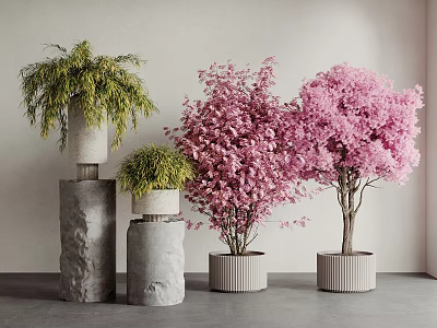 Modern Indoor Bonsai Potted Plants With Green Foliage Pink Blossom And Ribbed Concrete Planters 3d model