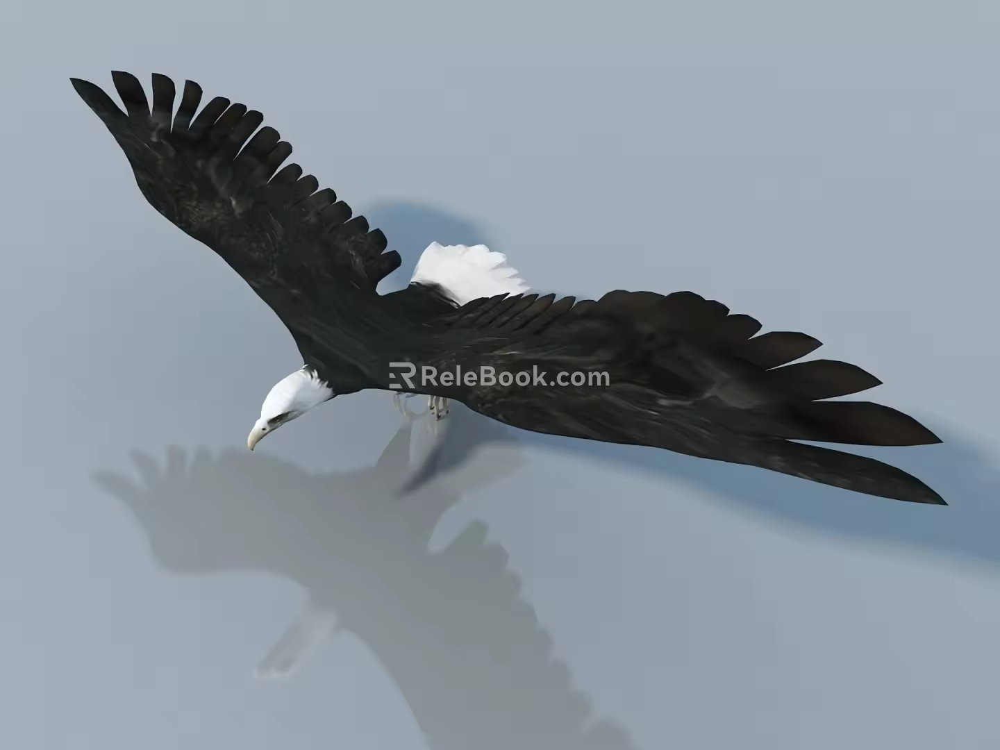 Animal character sketch 3d model