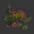 Diverse Colorful Garden Plants With Pink Red Yellow Green Trees And Shrubs