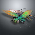 Colorful Praying Mantis With Iridescent Wings And Green Body Flying Animal