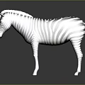 Zebra With Black And White Stripes Standing On Dark Background With Reflection