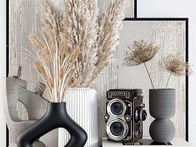 Modern Decorative Ornament Combination With Vases Dried Plants Vintage Camera And Wooden Background 3d model