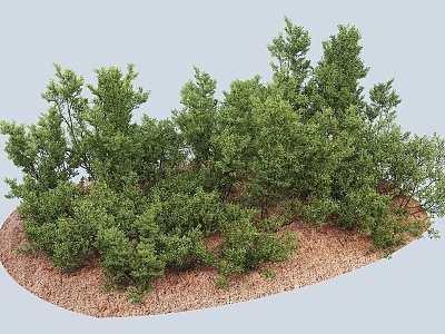 Modern Trees Forest Group Trees Garden Landscape Trees Shrubs 3d model