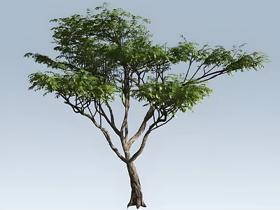 Tall Arbor with Lush Green Foliage and Brown Trunk Against Clear Blue Sky 3d model