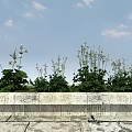 Green Herbs And White Small Flowers In Stone Planter Under Blue Sky